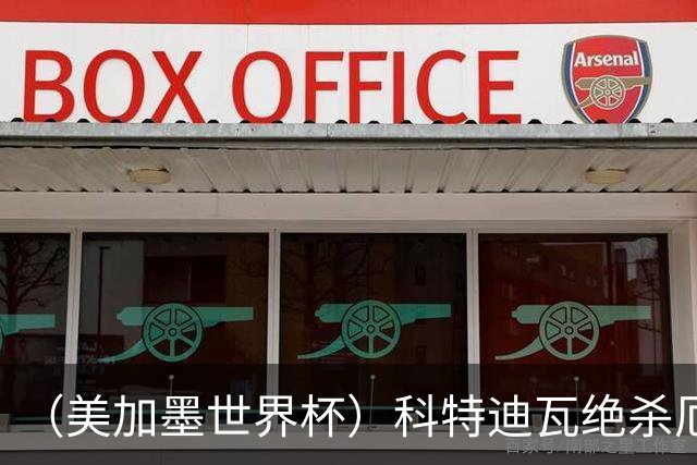 （美加墨世界杯）科特迪瓦绝杀厄瓜多尔 瑞典5:1大胜突尼斯